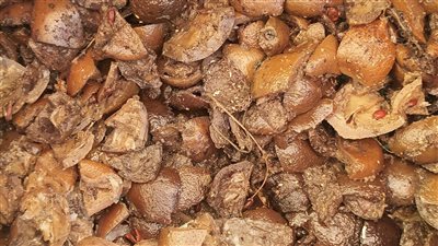 سلامة الغذاء بالغربية: مصادرة 31 ألف قطعة حلوى مغشوشة و620 كيلو عسل أسود