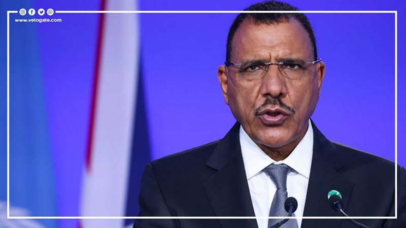 رئيس النيجر، فيتو