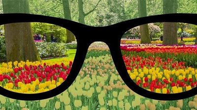 كل ما تريد معرفته عن مرض عمى الألوان وعلاجه؟ طبيب يوضح ( فيديو) 