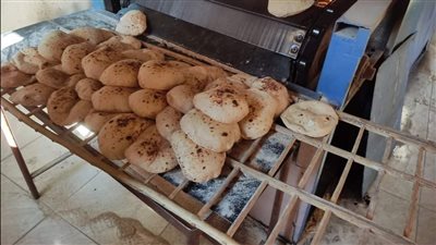 تحرير 444 محضرا ومخالفة تموينية بالأقصر