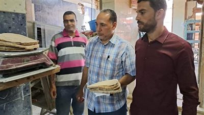 ضبط 12 طن كبريتات زراعية مجهولة المصدر وتحرير 33 محضرًا بالبحيرة (صور)