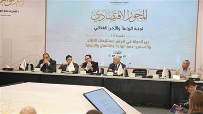 الحوار الوطني، لجنة المحليات تناقش 6 قضايا بينها إدارة العاصمة الجديدة