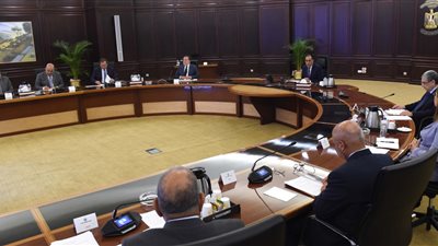 مدبولي يترأس اجتماع المجلس الأعلى للطاقة لبحث تداعيات أزمة الكهرباء 