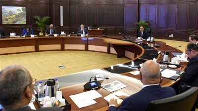 رئيس الوزراء يتابع خطوات إنشاء مجمع إنتاج الصودا آش بمدينة العلمين الجديدة