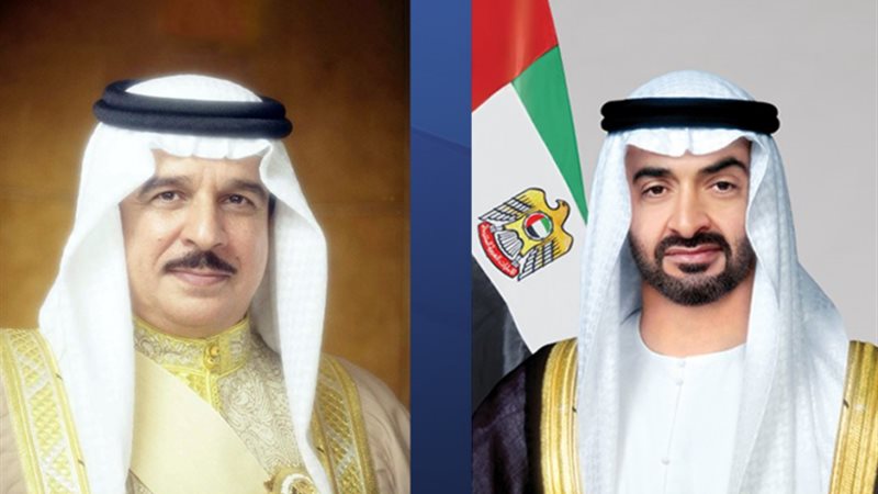 رئيس الإمارات وملك