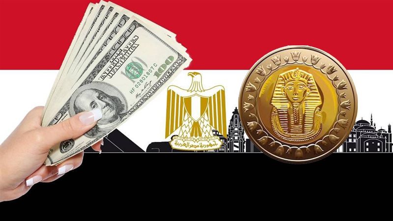 الاقتصاد المصرى،فيتو