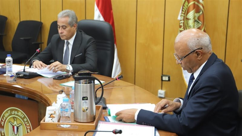 حسن شحاتة وزير العمل،فيتو