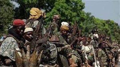  قبل ساعات من الاستفتاء على دستور جديد، مصرع 13 في هجوم مسلح بأفريقيا الوسطى