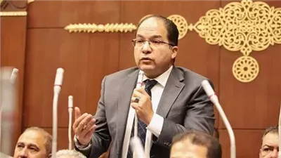 إعادة تشكيل مجلس الأعمال المصري التركي برئاسة عادل اللمعي