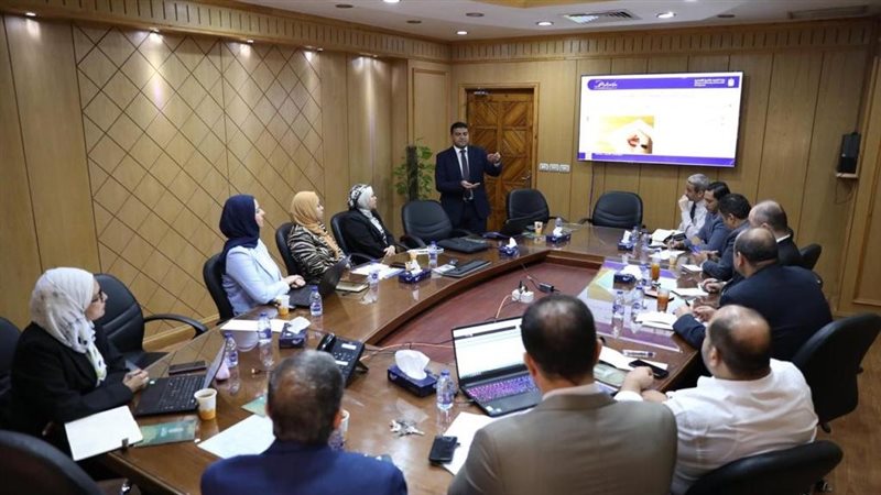 جائزة مصر للتميز