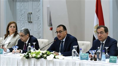 الحكومة تناقش إمكانات وخطط إنتاج الطاقة المتجددة والهيدروجين الأخضر في مصر
