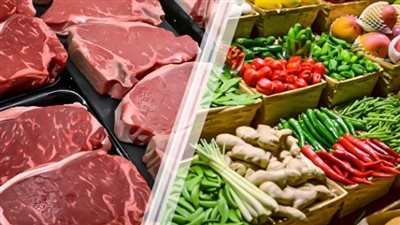 نفس المبررات، أسعار السلع عام 1953، وهذا ما قاله وزير التموين عن زيادة سعر الأرز واللحمة 