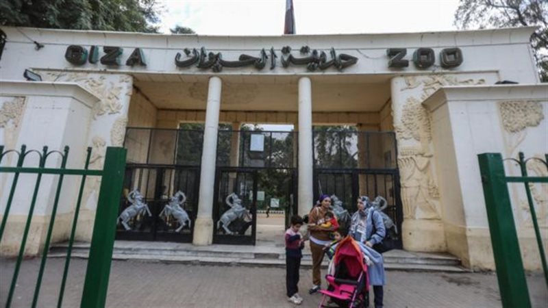 حديقة الحيوان، فيتو