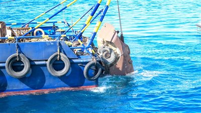البيئة: 3 مواقع غوص جديدة بالغردقة لحماية الشعاب المرجانية (صور)