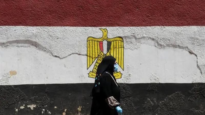 نشرة الاخبار،فيتو
