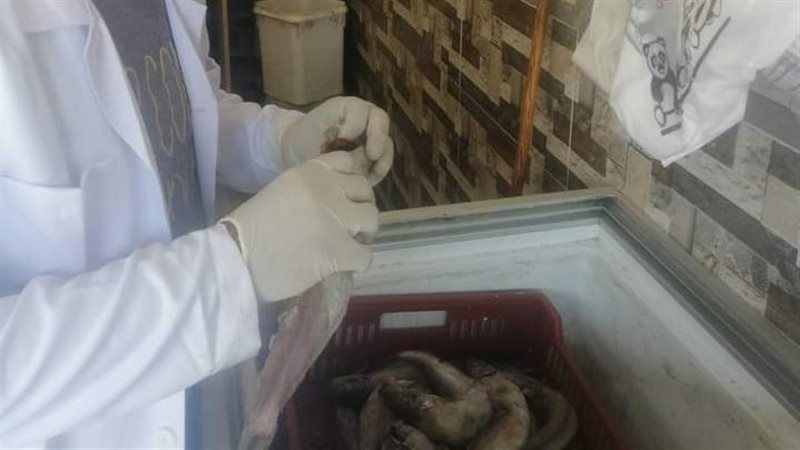 ضبط مواد غذائية فاسدة،