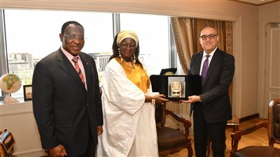 تشكيل فريق مصري لتقديم الدعم الفني لمشروع تطوير منطقة غير آمنة بالكاميرون