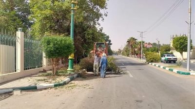 حملات نظافة ورفع كفاءة الشوارع لخلق بيئة نظيفة بواحات الوادي الجديد 