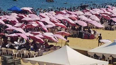 رفع الرايات الخضراء فى شواطئ شرق وغرب الإسكندرية (صور) 