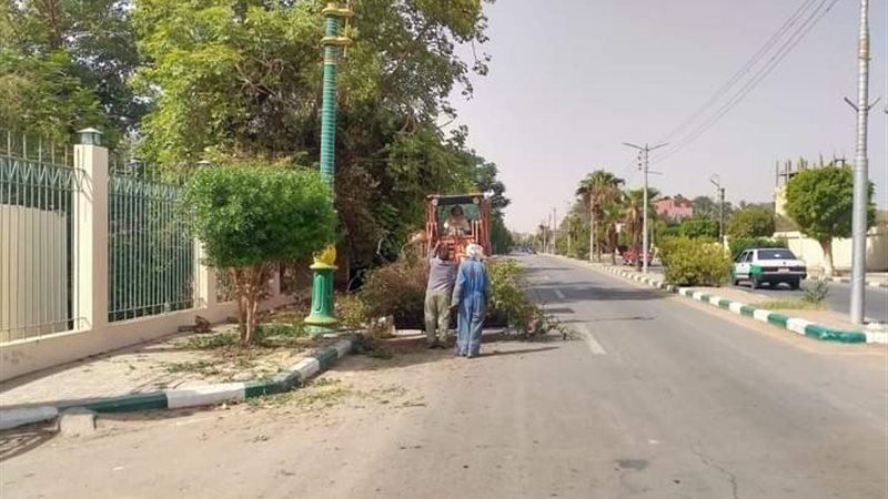 واحات الوادي الجديد،