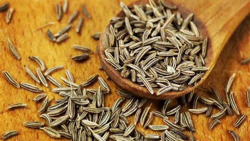 تفسير حلم الكمون