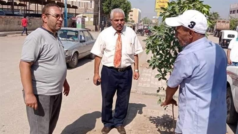 زراعة أشجار مثمرة،