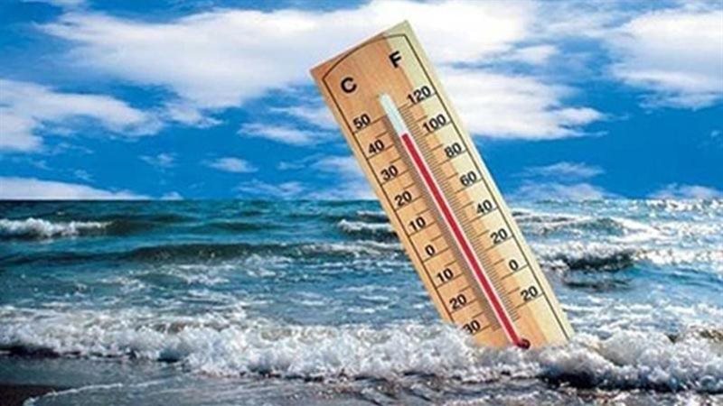 المحيطات، فيتو