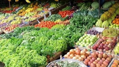 أسعار الخضراوات اليوم الأحد 6-8-2023 في المنيا