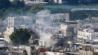 بعد منع شيرين من دخوله، معلومات عن مخيم عين الحلوة 