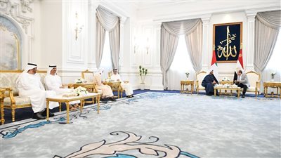 السيسي وبن زايد يبحثان تعزيز التعاون في المجالات الاقتصادية والتنموية