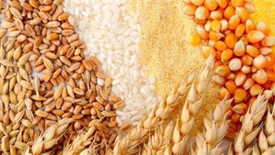 هل يواجه المصريون ارتفاعات جديدة في أسعار الأرز والخبز؟ خبير يجيب