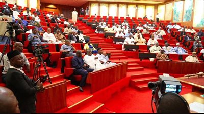 مجلس الشيوخ النيجيري يرفض التدخل العسكري لحل قضية الانقلاب