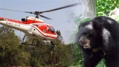 رئيس حكومة العراق يأمر بالتحقيق في واقعة دب الطائرة