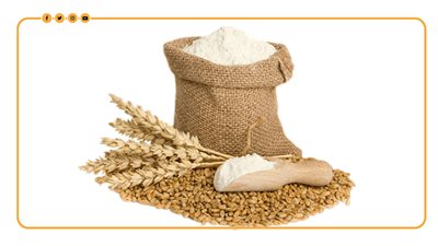 من 2017 لـ 2023.. حجم إنتاج واستهلاك القمح عالميًا في 7 سنوات (انفوجراف)