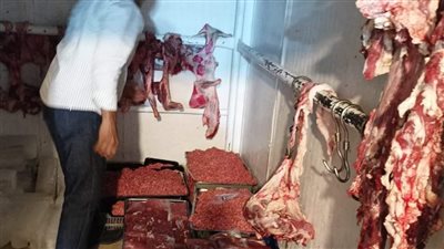 ضبط 15 طن لحوم فاسدة خلال أسبوع في الجيزة (صور)