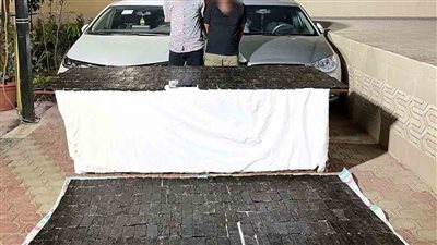 ضبط 800 طربة حشيش بحوزة 3 عناصر إجرامية بالشرقية والإسكندرية 