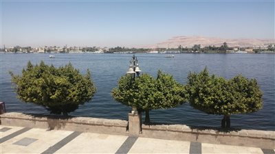 تفاصيل طرح مزايدة علنية لامتياز الإعلانات بمدينة الأقصر