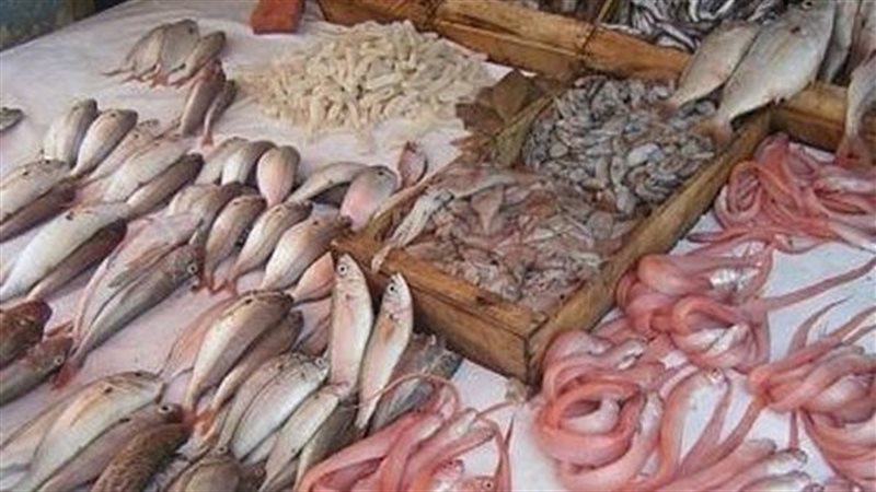 أسعار الأسماك اليوم،