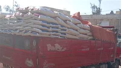 ضبط مواد غذائية منتهية الصلاحية في الإسكندرية 