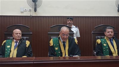 لحظة النطق بالحكم على المتهم بقتل شاب بالعمرانية (فيديو)