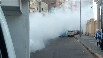 حملات مكثفة للرش والتطهير من الحشرات الضارة والبعوض بأحياء الإسكندرية
