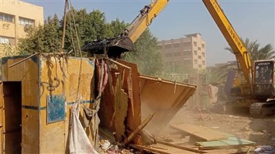 إزالة ١٣ كشك وفروشات مخالفة متعدية علي الطريق العام بالبدرشين (صور)