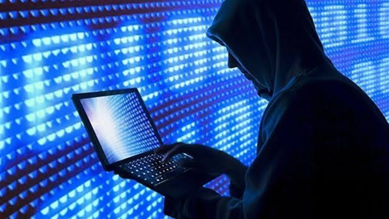 جرائم الإنترنت، فيتو