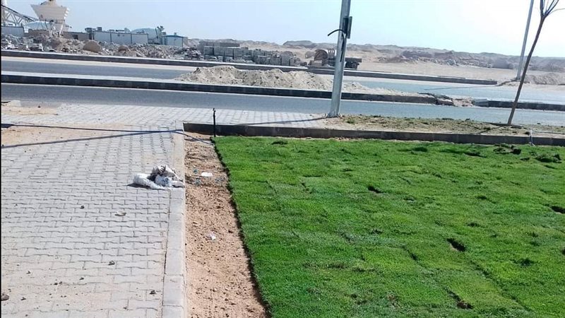  أعمال الزراعة،فيتو