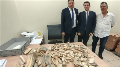 ضبط 16 كجم سن الفيل وكمية من المخدرات بحوزة راكبين في مطار القاهرة (صور)