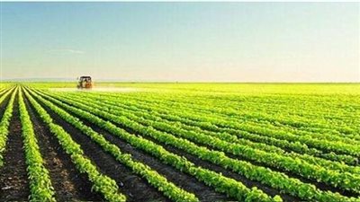 طرق وأساليب استخدام تقنية الاستشعار عن بعد في تحصين المحاصيل الزراعية