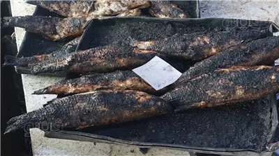 سر الخلطة وطريقة التسوية، جولة داخل الأفران البلدي بسوق الأسماك في بورسعيد (فيديو)