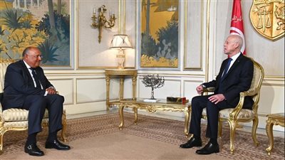 وزير الخارجية ينقل رسالة من الرئيس السيسي إلى نظيره التونسي