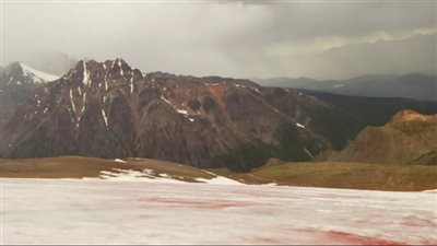   نهر يتحول للون الأحمر في جمهورية ألتاي، ما السبب ( فيديو)