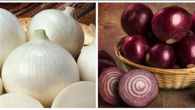 هل تشهد الأسواق ارتفاعات جديدة في أسعار البصل أم يتجه المنحنى السعري نحو الانخفاض؟